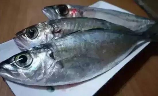 海南深度之旅，热带风情中的体验与感悟